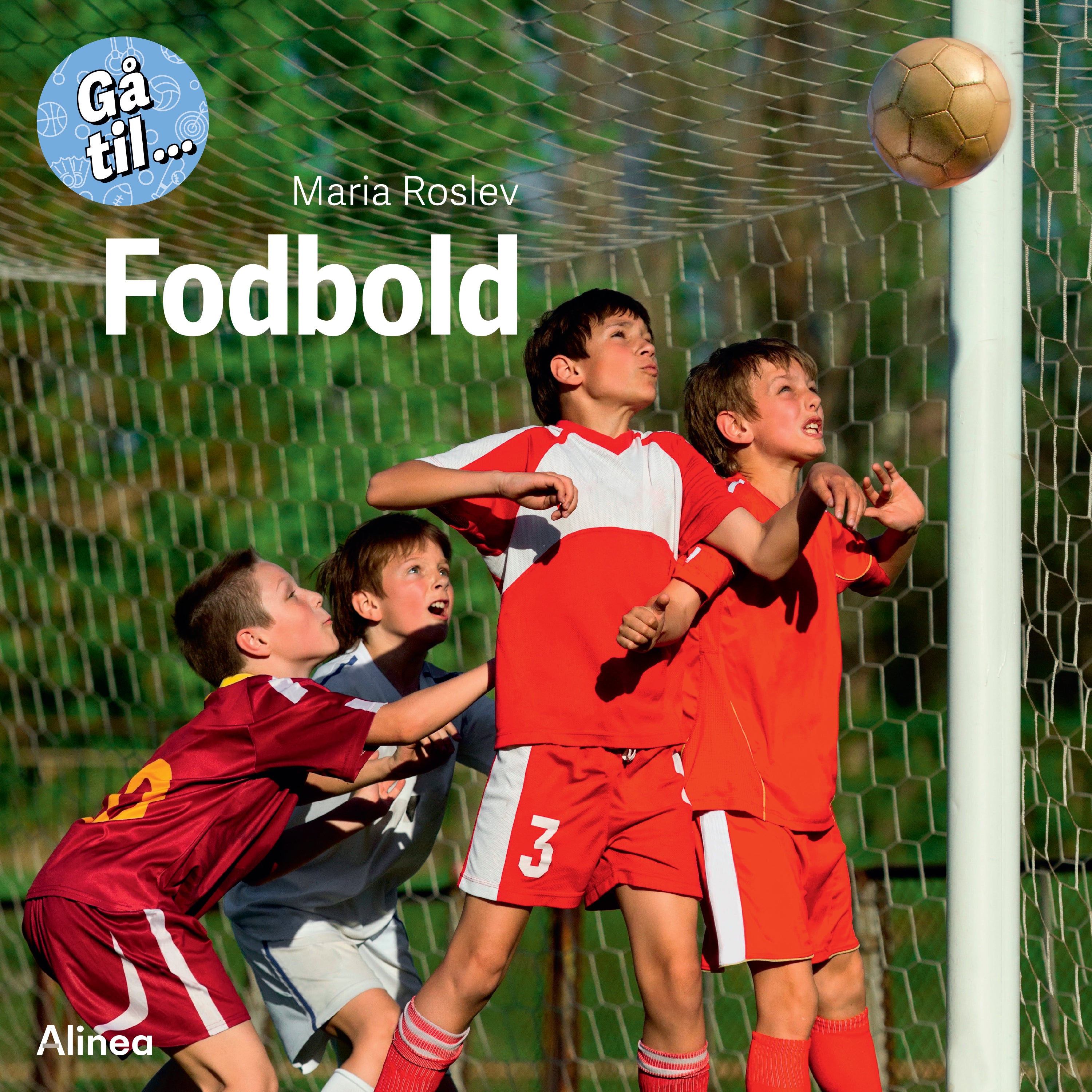 Forside billede